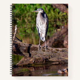Great Blue Heron on Log Foto Notebook Journal Notizbuch