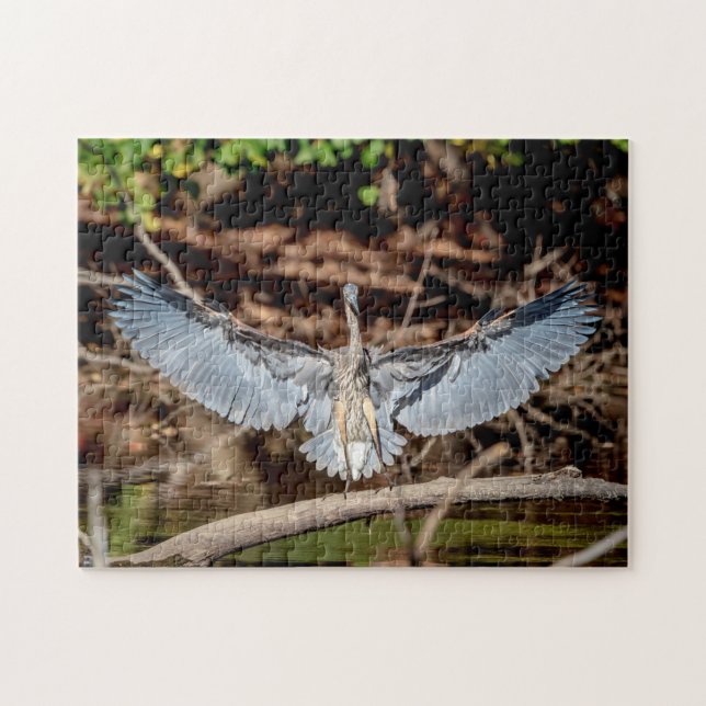 Great Blue Heron on on log (Horizontal)