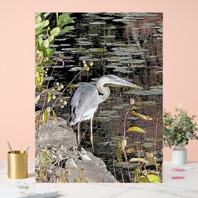 Great Blue Heron on Pond Acrylschild (Hochzeit)