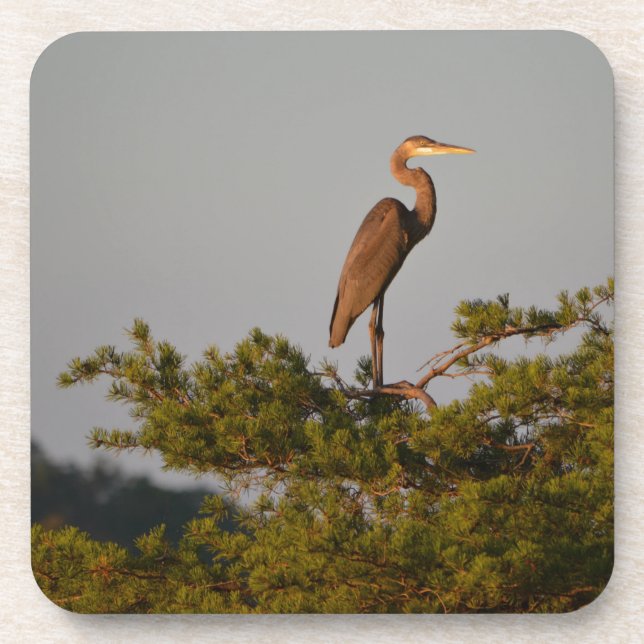 Great Blue Heron On Tree Top Getränkeuntersetzer (Vorderseite)