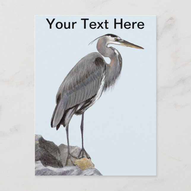 Great Blue Heron Postkarte (Vorderseite)