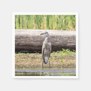 Great Blue Heron stehend in Lake Champlain Serviette