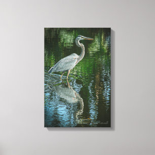 "Great Blue Heron" Stretched Canvas Print Leinwanddruck