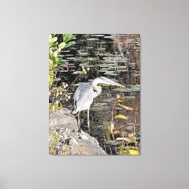 Great Blue Heron Stretched Canvas Print Leinwanddruck