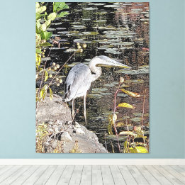 Great Blue Heron Stretched Canvas Print Leinwanddruck