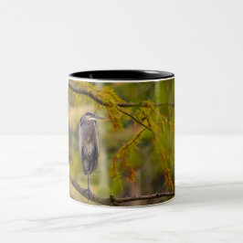 Great Blue Heron unter Herbstlauben Kaffeezubereit Zweifarbige Tasse