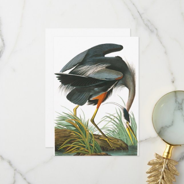Great Blue Heron von John James Audubon Dankeskarte (Vorderseite/Rückseite Beispiel)
