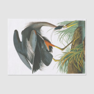 Great Blue Heron von John James Audubon Seidenpapier