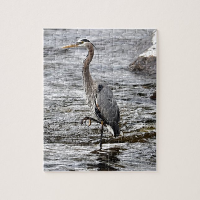 Great Blue Heron Wildlife Birdlover Foto (Vertikal)