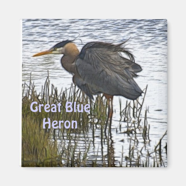 GREAT BLUE HERON Wildlife Magnet Geschenke (Vorne)