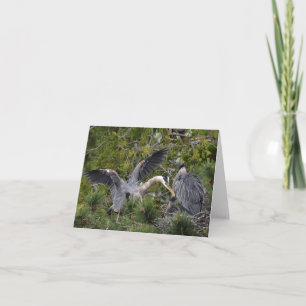 Great Blue Herons und ihr Baby Karte