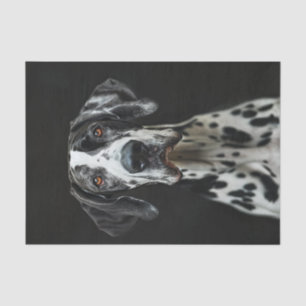 Great Dane3 Seidenpapier