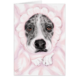 Great Dane Baby Mantled Merle Girl Ankündigungen