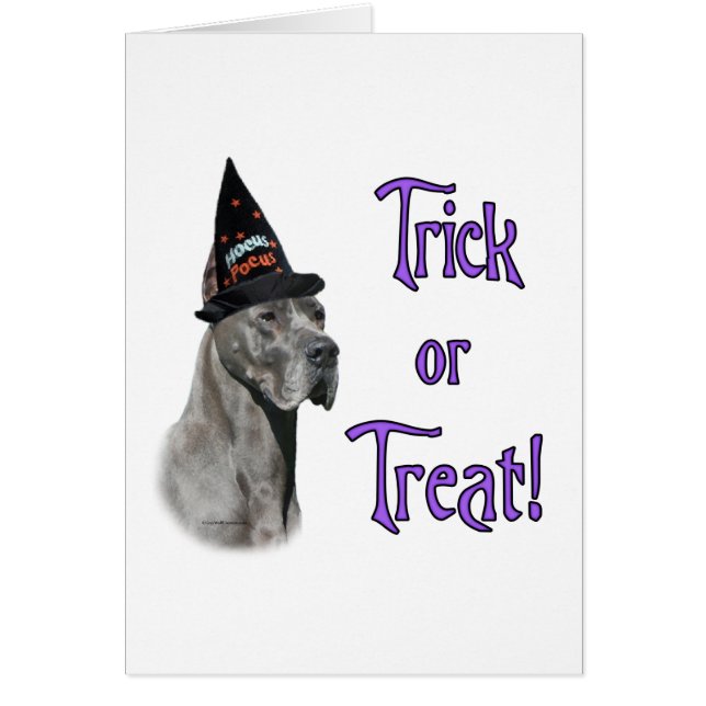 Great Dane (blau) Trick (Vorne)