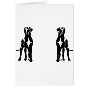 Great Dane Buddys