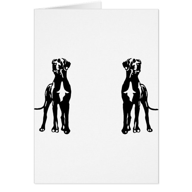 Great Dane Buddys (Vorne)