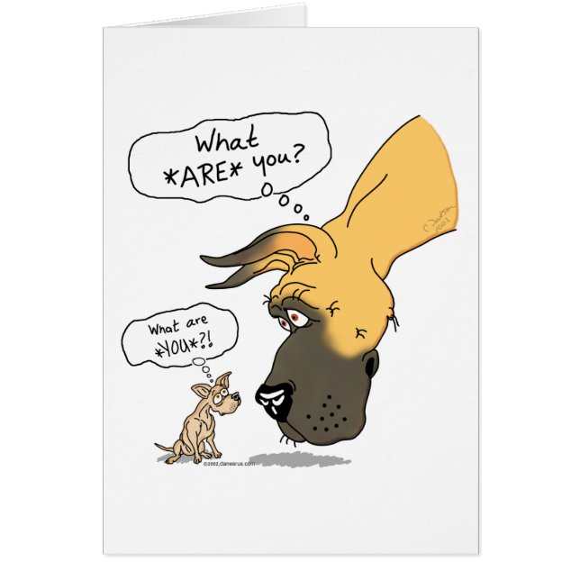 Great Dane & Chihuahua Fawn (Vorne)