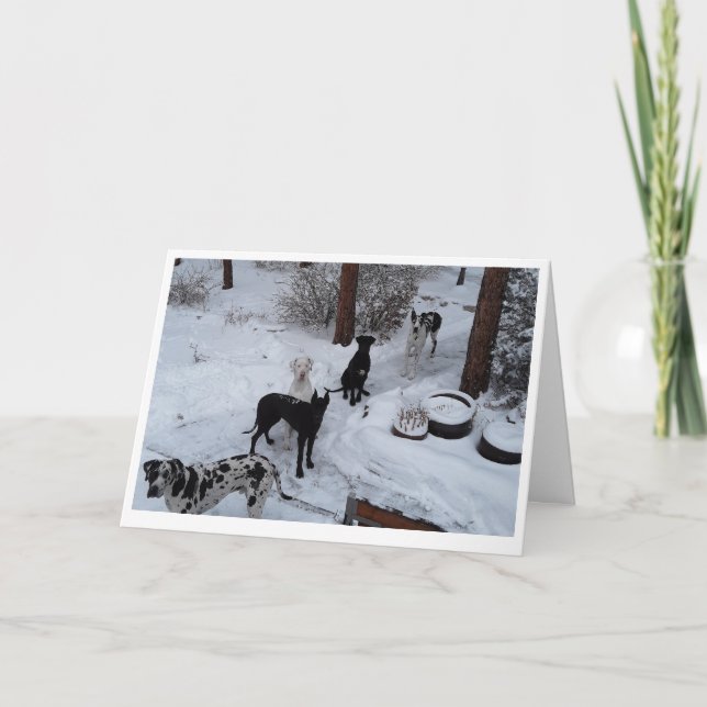 Great Dane Christmas Card Karte (Vorderseite)