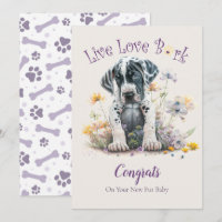 Great Dane Dog Adoption, Gotcha Day