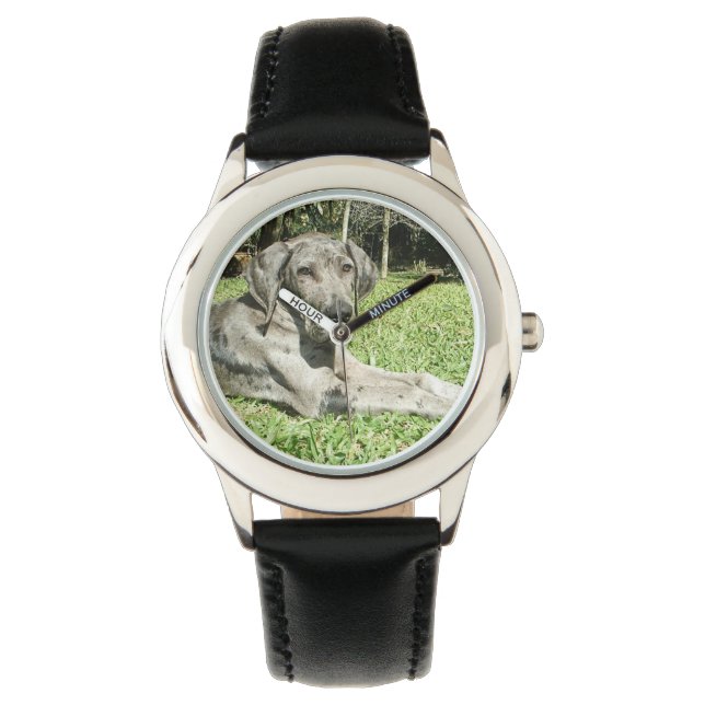 Great Dane Dog Armbanduhr (Vorderseite)