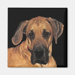 Great Dane Dog Magnete Magnet