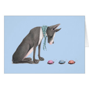 Great dane et coccinelles