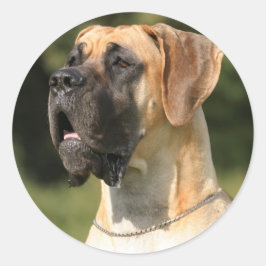 Great Dane - fawn / Deutsche Dogge - gelb Runder Aufkleber