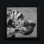 GREAT DANE GESCHENKBOX<br><div class="desc">A beautiful black and white design of a Great Dane dog. England UK.</div>