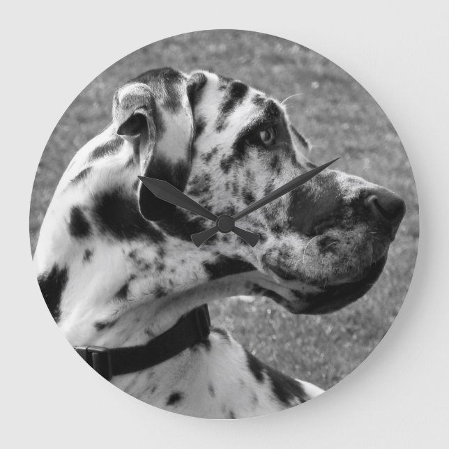 GREAT DANE GROßE WANDUHR (Vorderseite)