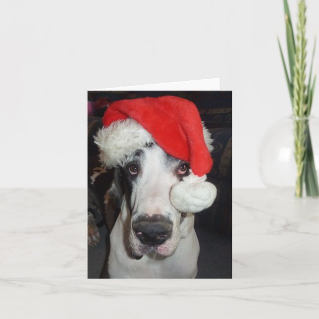 Great Dane 'Gunner' comme carte de voeux Père Noël (Devant)