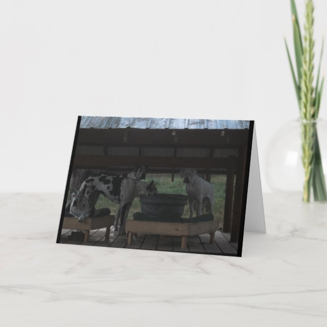 Great Dane Halloween Card Karte (Vorderseite)