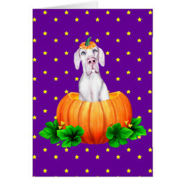 Great Dane Halloween White UC Dane-O-Lantern
