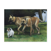 Great Dane Hund Art Postcard
