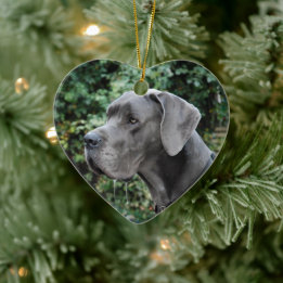 Great Dane Images Keramik Ornament