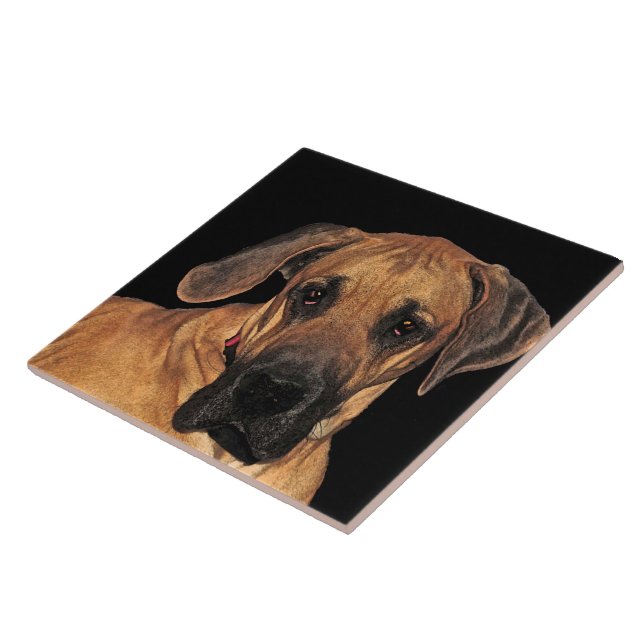 Great Dane Keramik Tile Fliese (Seite)