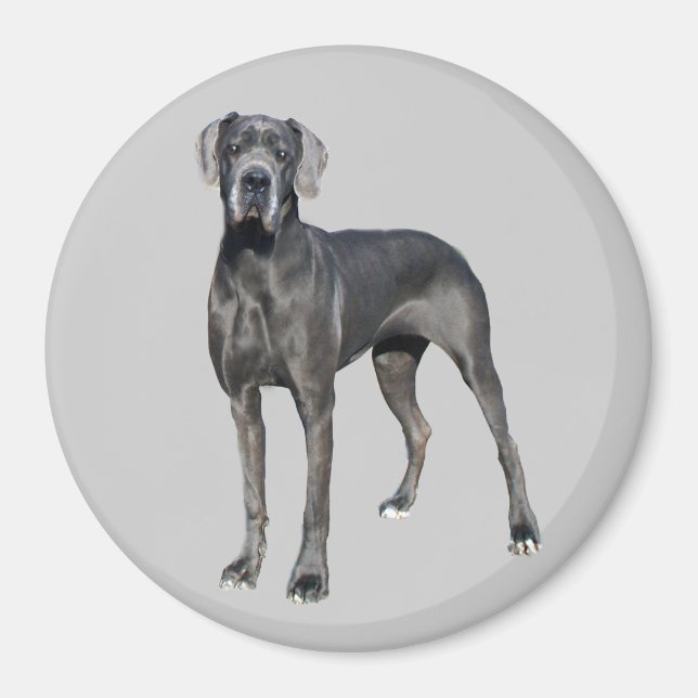Great Dane King of Hogs Magnet (Vorne)