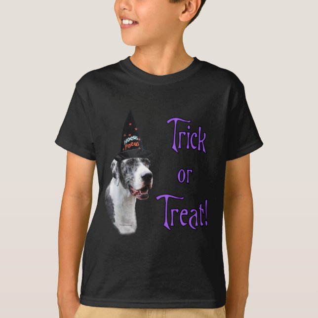 Great Dane (Merle) Trick T-Shirt (Vorderseite)