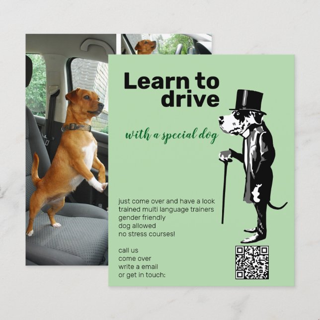 Great Dane Mister Alf Treiber Flyer (Vorne/Hinten)