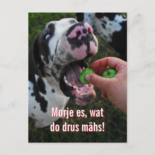 Great Dane Motto Motivation  Postkarte (Vorderseite)