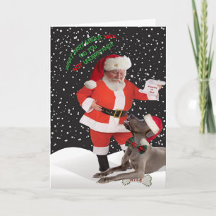 Great Dane n'a pas compris les bonnes cartes