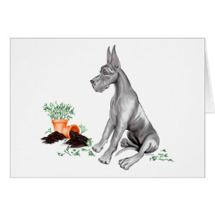 Great Dane Naughty Pup Black