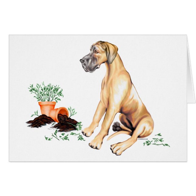 Great Dane Naughty Pup Fawn UC (Vorderseite (Horizontal))