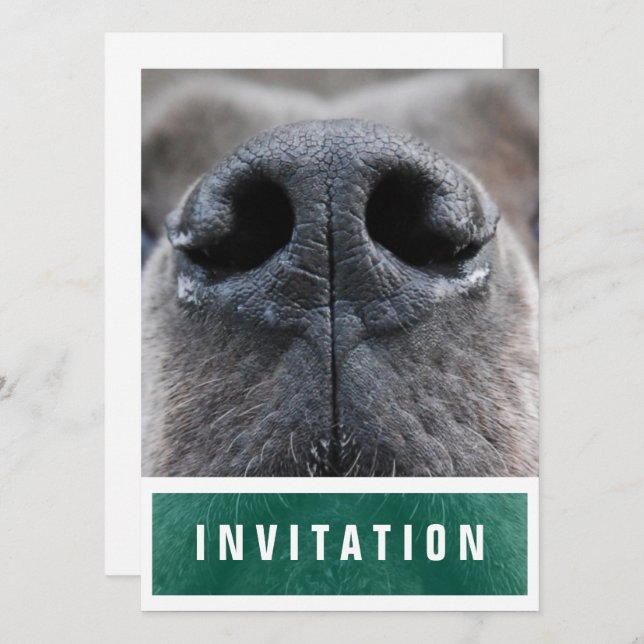 Great Dane Nose up Einladung (Vorne/Hinten)