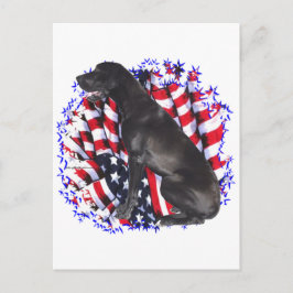 Great Dane Patriot Postkarte