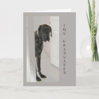 Great Dane Pet Hunde Humor Glückwunsch Grad