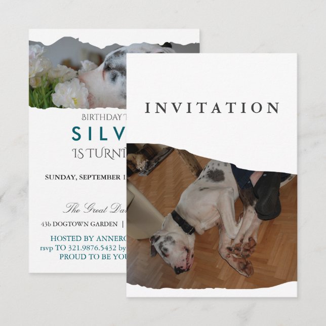 Great Dane Photo invitation  (Devant / Derrière)