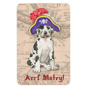 Great Dane Pirate Magnet