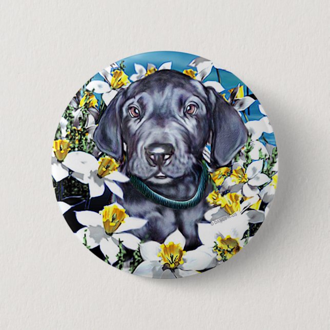 Great Dane Pup in Daffodils Blue Button (Vorderseite)