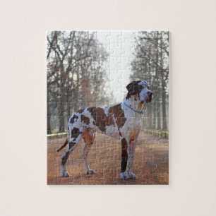 Great Dane Puzzle