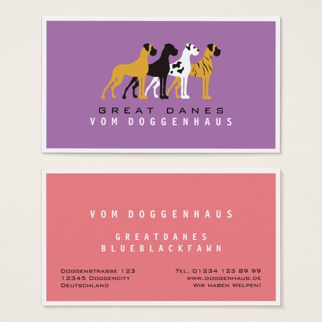 Great Dane rein (Vorne & Hinten)